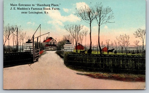 MAIN ENTRANCE HAMBURG PLACE STOCK FARM HORSES LEXINGTON KY POSTCARD - Picture 1 of 2