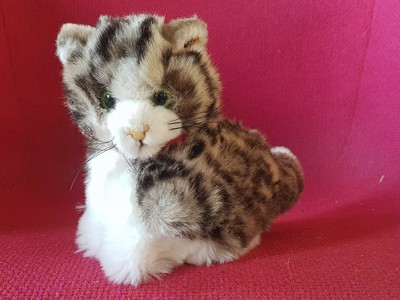 Jolie Chat Ours Peluche Ancien Steiff Teddy Bear Ebay