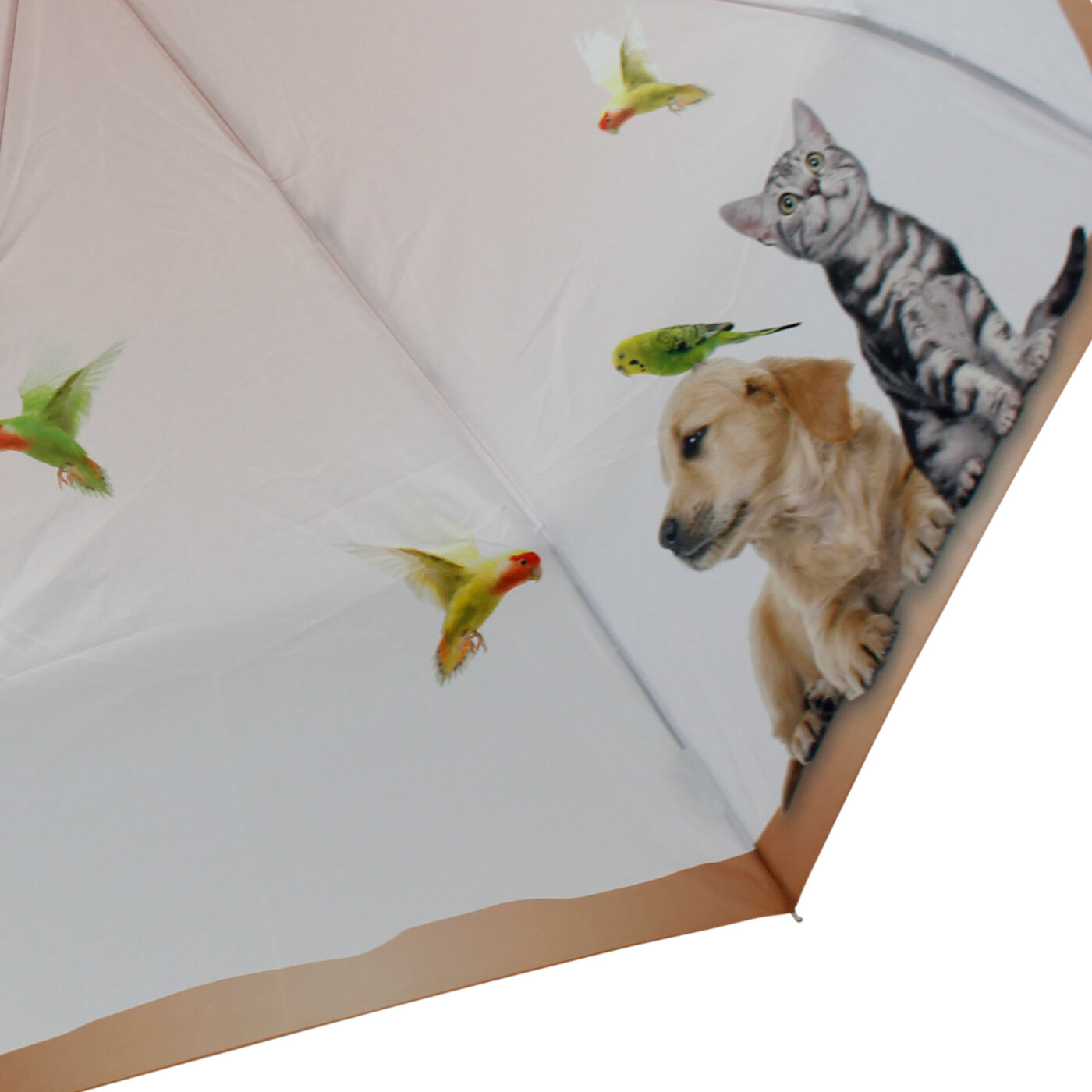 Regenschirm Damen Taschenschirm Automatik klein beige Hund Katze Vögel UV-Schutz