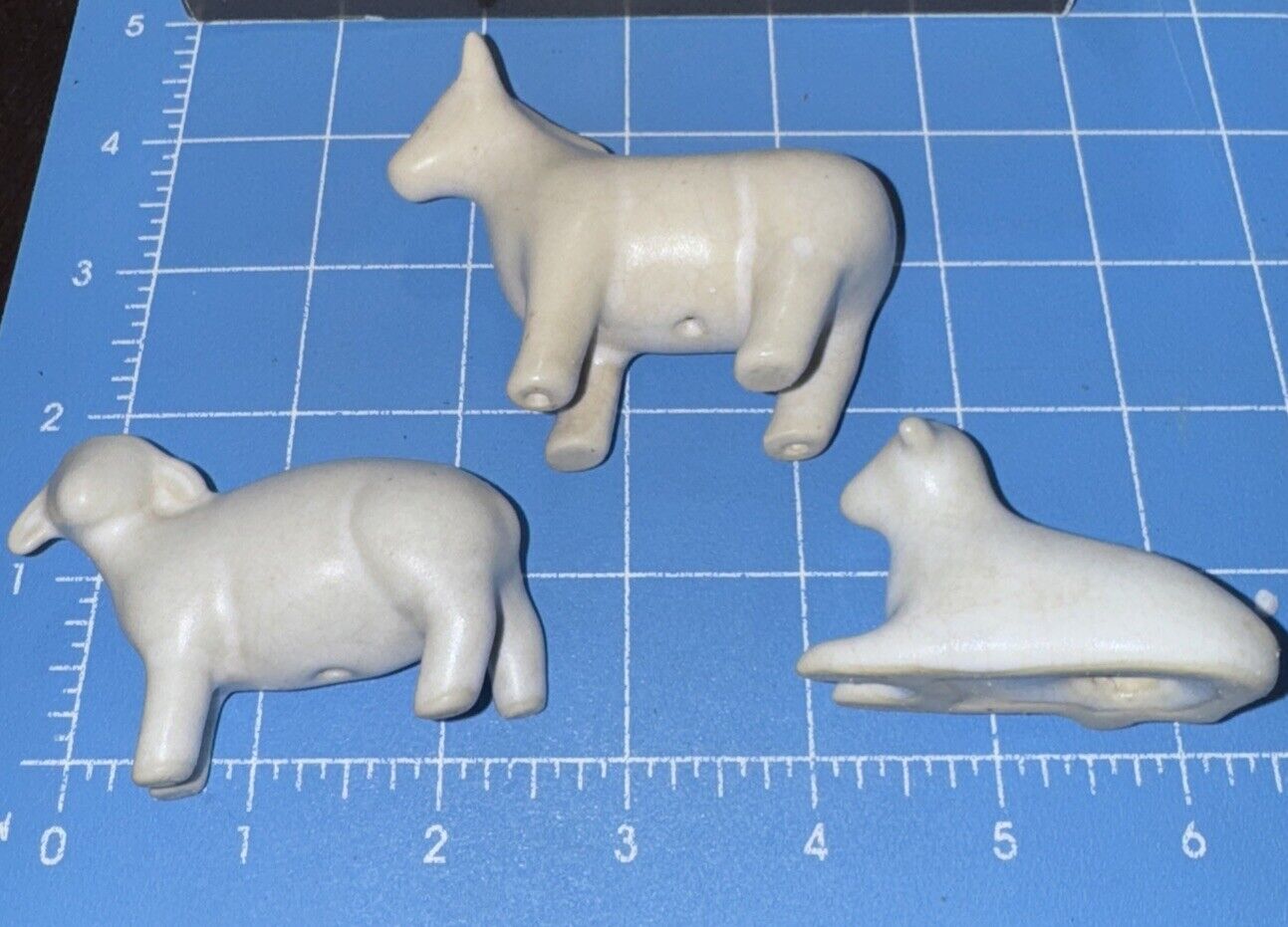 Picture 5 of 7