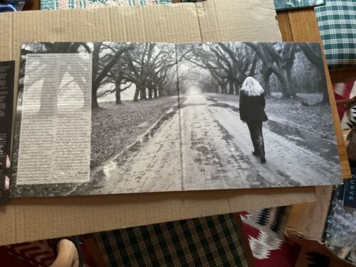 Greg Allman Low Country Blues Rounder Records NM/NM - Picture 3 of 9