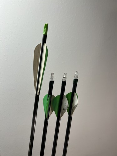 Bear Apprentice 2 Compound Bow Right Hand Youth w/ Whisker Biscuit And Glo Sight - Picture 12 of 16