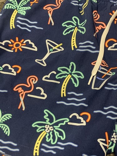 Chubbies Neon Lights Swim Trunks Shorts Mens Size XXL  5.5” Blue Lined - Bild 3 von 5