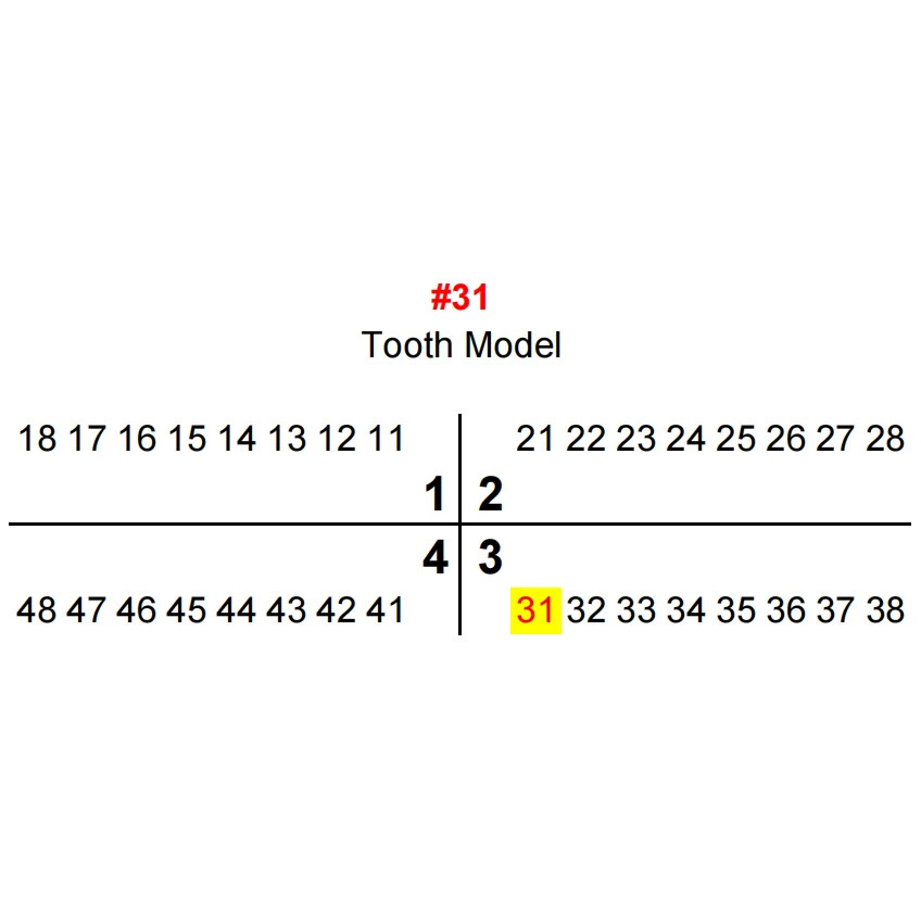 Imagen 43 de 59