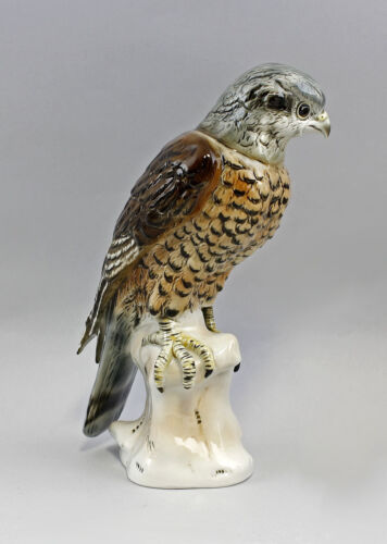 9942083 Wagner&Apel Porzellan Figur Falke Bussard Jungvogel H27cm - Picture 4 of 7