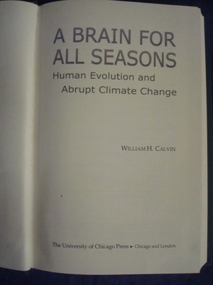 A Brain for All Seasons: Human Evolution and Abrupt Climate Change