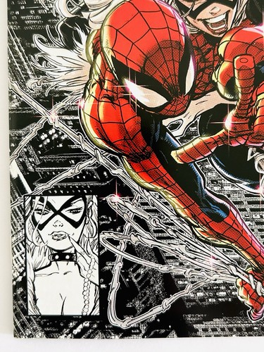 Amazing Spider-Man #26 Kaare Andrews Exclusive Trade Variant 2023 Black Cat - Bild 4 von 7