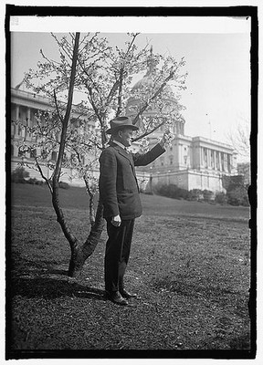 Photo:Senator Alvah V. Adams, 4/12/24