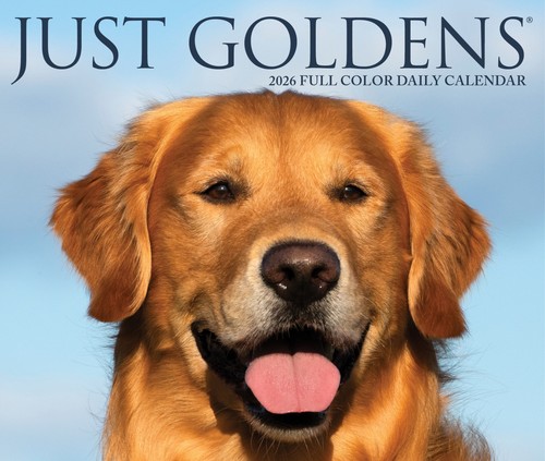 Goldens 2026 5.4" x 6.2" Box Calendar - Picture 5 of 6