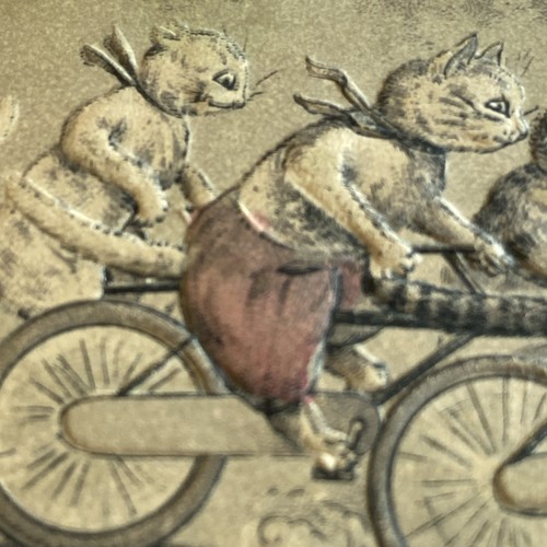 Louis Wain - Gatos en bicicletas - Una postal de carrera en carretera - en relieve - como se encuentra - Imagen 5 de 10