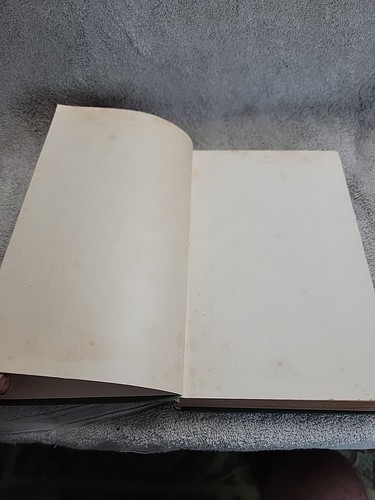 Radin, Max DIE JUDEN UNTER DEN GRIECHEN UND RÖMERN 1. Auflage 1916! - Bild 8 von 24