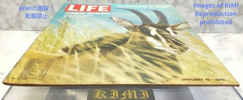 Rare LIFE Magazine JANUARY 19 1970 Vol.48 No.1 THE MASSACRE AT MYLAI AFRICAN ANT - Picture 4 of 24