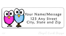 60 Personalized Return Address Labels 2/3" x 1 3/4"- Cute Pink and Blue Owls