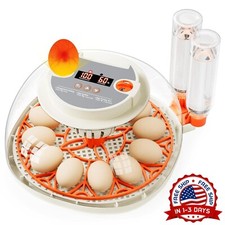 Automatica Incubadora De 12 Huevos Encubadora Gallina Pato Egg Incubator NEW US