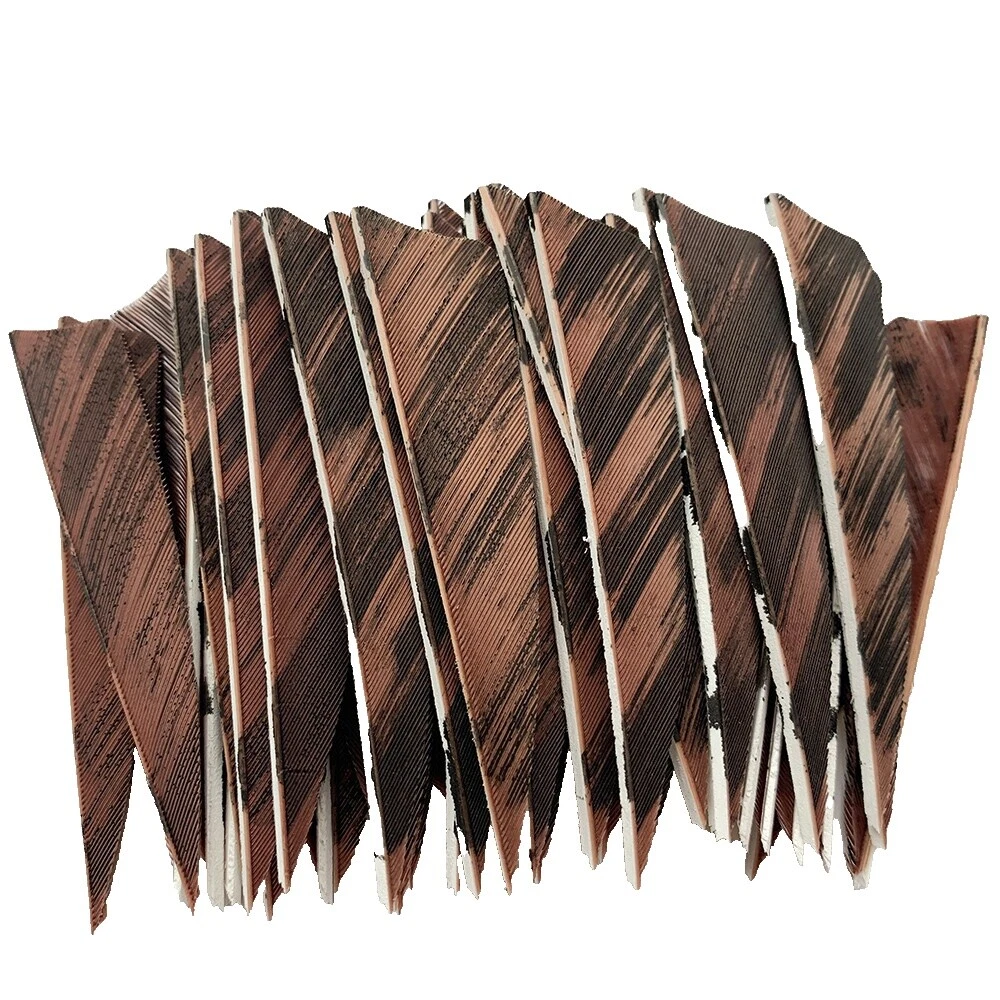 Ala derecha marrón emplumados de arquería