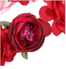 Bild 8 von 19
