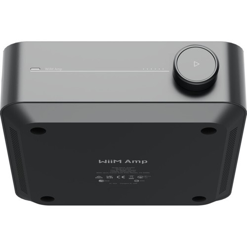 WIIM AMPG Integrated Streaming Amplifier All In One Network Streamer - Space - Picture 3 of 5