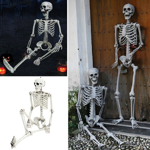 Halloween Full Size Poseable Human Prop Skeleton Party Haunted House Decorations - Picture 5 of 8
