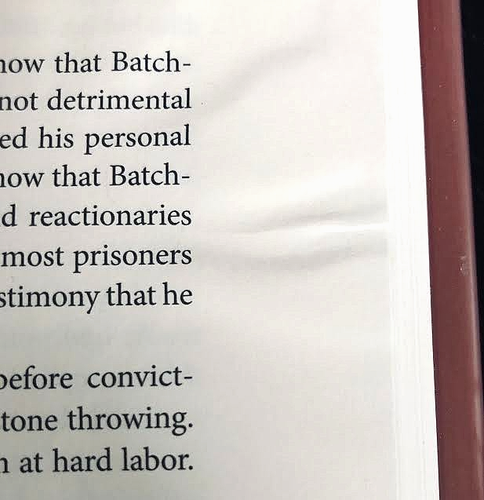 I CANNOT FORGET—IMPRISONED IN KOREA, ACCUSED AT HOME (2013) HC/DJ—EX LIBRARY VGC - Picture 3 of 5
