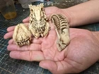 Alien Skull Wall set for your Neca size 1/12 scale