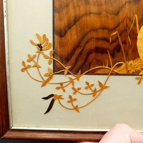 David Owen Marquetry Picture Shaggy Ink Cap & Birds Foot Limited Ed 1/5 Signed - Picture 11 of 22