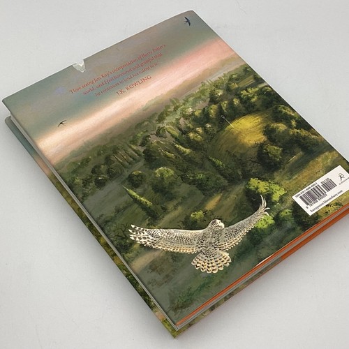 2 Harry Potter Books: HardCover Chamber of Secrets/Philosophers Stone(B1)NS#8668 - Picture 8 of 14