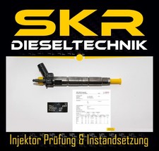 Bosch Einspritzdüse Injektor 0445116001 120d 3er 320d 13537797877 BMW 0986435363