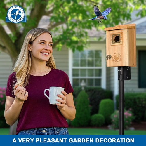 2 Pack Bird Houses for Outside Clearance with Copper Guard, Cedar Bird House ... - Picture 8 of 9