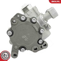 Esen Skv Servopumpe Hydraulikpumpe Servolenkung FüR Mercedes-Benz Cls C219