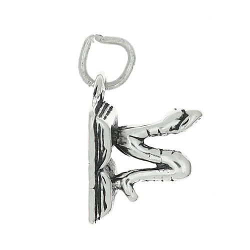 Sterling Silver 3D Bookworm & Open Book Reader Charm or Pendant - Picture 1 of 3