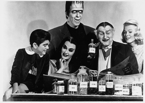 The Munsters: The Complete Series (DVD) Fred Gwynne Al Lewis (US IMPORT) - Picture 3 of 7