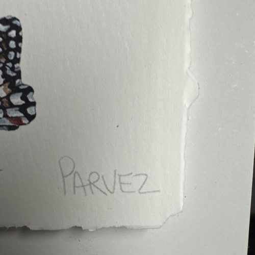 FARFALLE FELICI E TESCHIO cantata dall'artista Parvez Taj stampa decorativa - Foto 2 di 16