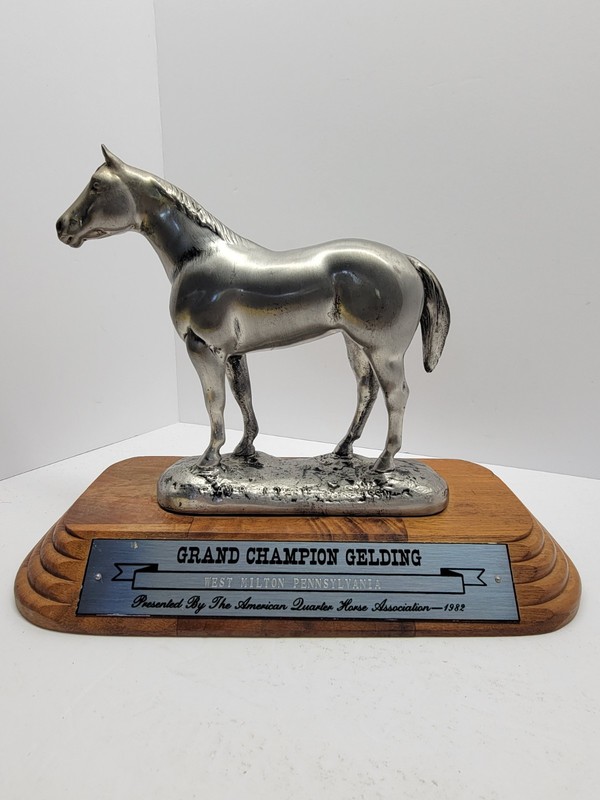 1982 American Quarter Horse Assn. Grand Champion Gelding Trophy