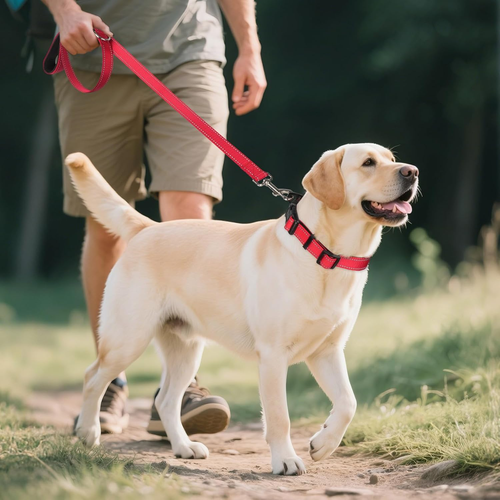 Reflective Dog Collar,Soft Neoprene Padded Breathable Nylon Pet Collar Adjustabl - Picture 6 of 12