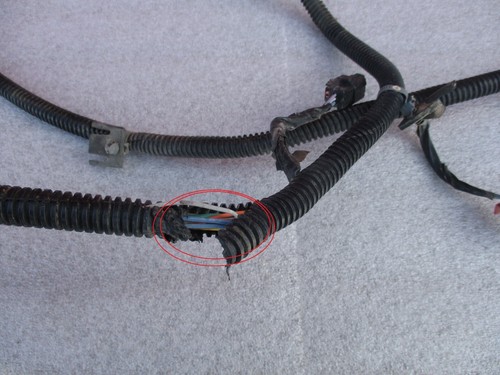 2009-14 Cadillac Escalade Rear Bumper wire harness for parking object sensor oem - Picture 4 of 9