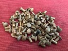 Lot  50 Anciens Rivets en cuivre à tête ronde gravés 10 mm, long. 12 mm, 130 g