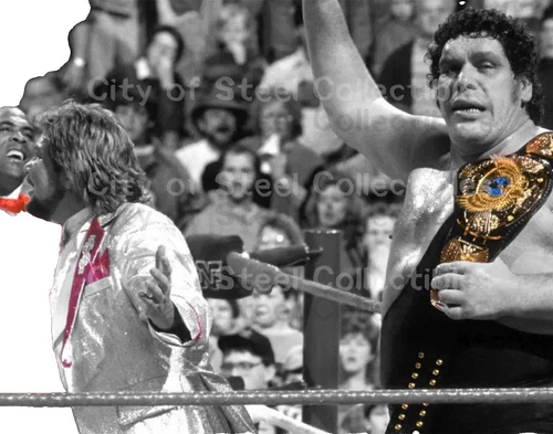 Andre the Giant WWE Wrestling Photos