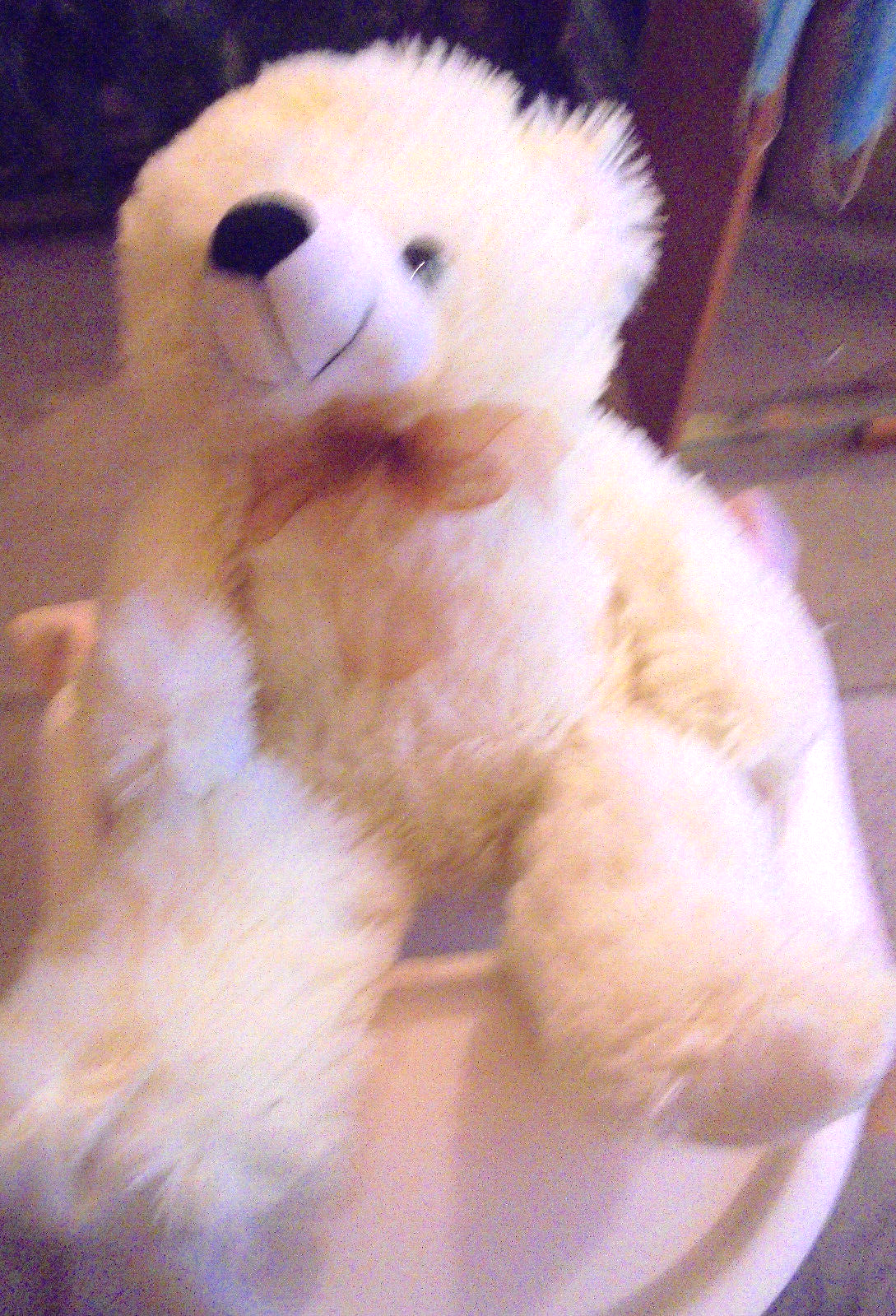 Picture 3 of 11