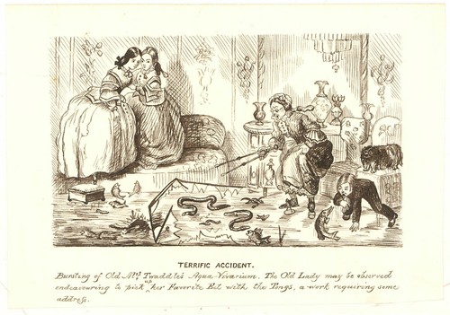 1866 Pen and Ink Drawing - Terrific Accident - Photo 2 sur 3