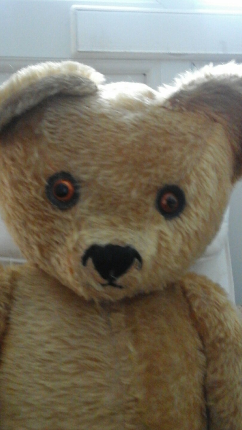 Ronald-enorme Vintage TARA TEDDY BEAR-mozzafiato Ronald-enorme Vintage TARA TEDDY BEAR-mozzafiato