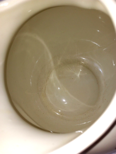 Halls by Mary Dunbar Jewel Homemaker 1.5qt Ceramic Water Pitcher Floral Pattern - Picture 10 of 10