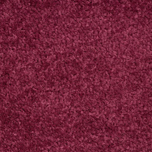 Schmutzfangmatte Performa XXL Sauberlaufmatte Fußmatte Fußabtreter viele Farben - Bild 39 von 72