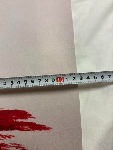 Maison Ikkoku: Capítulo Final Kyoko Otonashi, Póster Promocional de Película/JPN Raro! - Imagen 2 de 20