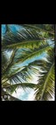 tradingcardssouthflorida