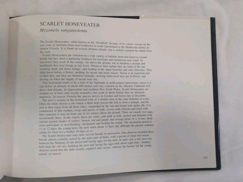 Australian Birds and Their Young by Terence Lindsey Hardcover (1979) - Picture 10 of 10