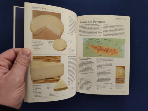I formaggi francesi enciclopedia gastronomica Mondadori - Foto 10 di 11
