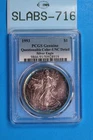 1993 $1 SILVER AMERICAN EAGLE PCGS COLOR TONED BU UNC MS US TYPE COIN SLAB-716