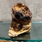 Picture 4 of 9