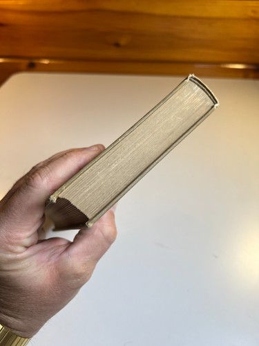 Antikes verziertes vergoldetes geprägtes Buch Sportsman’s Club / Sattel Harry Castlemon - Bild 8 von 24