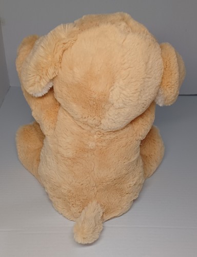 Discontinued Baby Peek-A-Boo Puppy Honey - Picture 5 of 8
